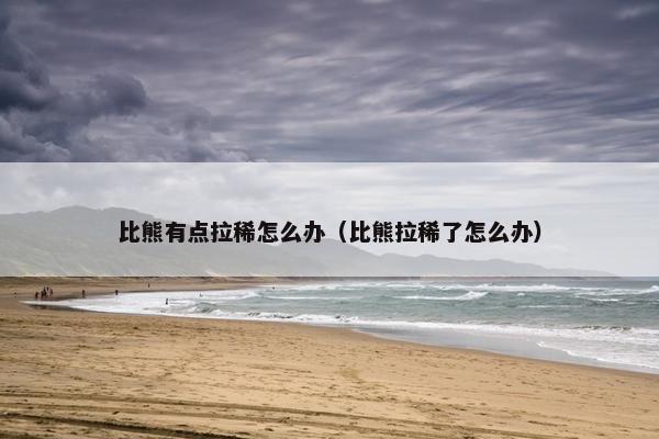 比熊有点拉稀怎么办(比熊拉稀了怎么办)