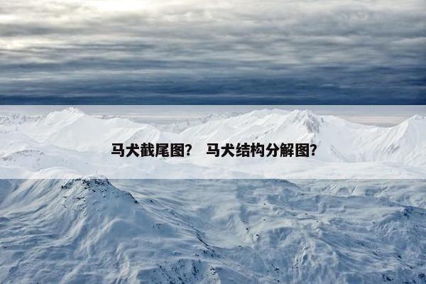 马犬截尾图？ 马犬结构分解图？