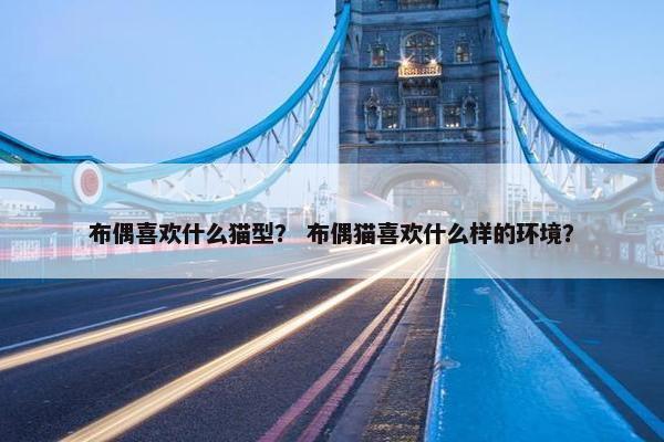 布偶喜欢什么猫型？ 布偶猫喜欢什么样的环境？