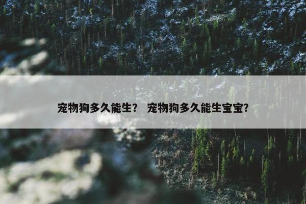 宠物狗多久能生？ 宠物狗多久能生宝宝？