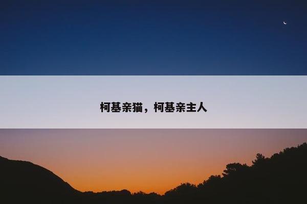 柯基亲猫，柯基亲主人