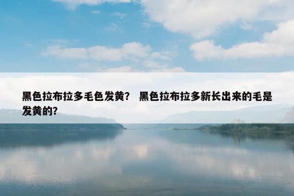 黑色拉布拉多毛色发黄？ 黑色拉布拉多新长出来的毛是发黄的？