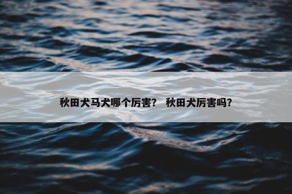 秋田犬马犬哪个厉害？ 秋田犬厉害吗？