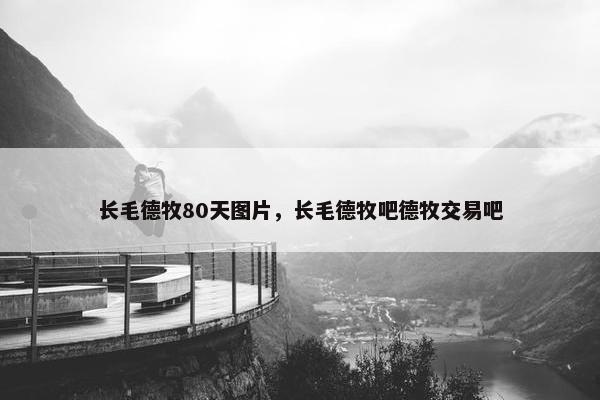 长毛德牧80天图片，长毛德牧吧德牧交易吧