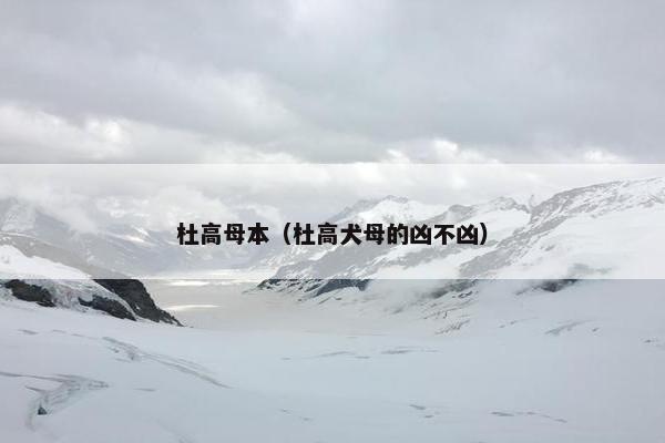 杜高母本（杜高犬母的凶不凶）