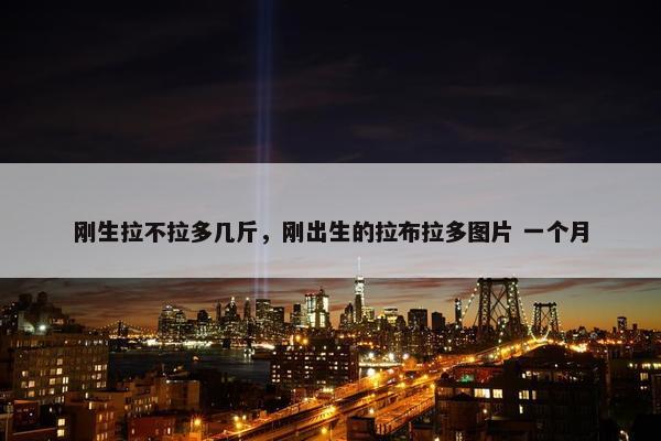 刚生拉不拉多几斤，刚出生的拉布拉多图片 一个月