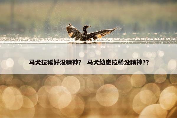 马犬拉稀好没精神？ 马犬幼崽拉稀没精神?？