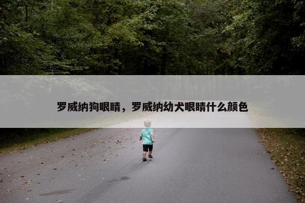 罗威纳狗眼睛，罗威纳幼犬眼睛什么颜色