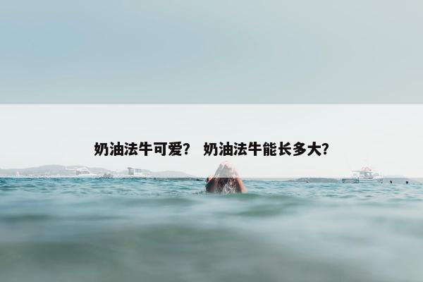 奶油法牛可爱？ 奶油法牛能长多大？