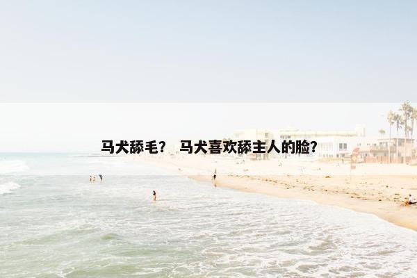 马犬舔毛？ 马犬喜欢舔主人的脸？