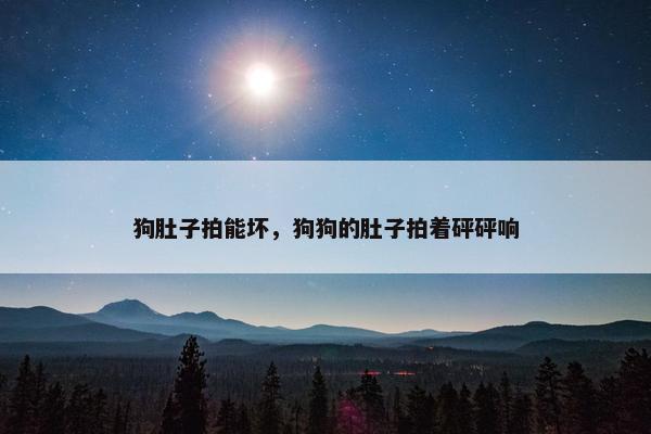 狗肚子拍能坏，狗狗的肚子拍着砰砰响