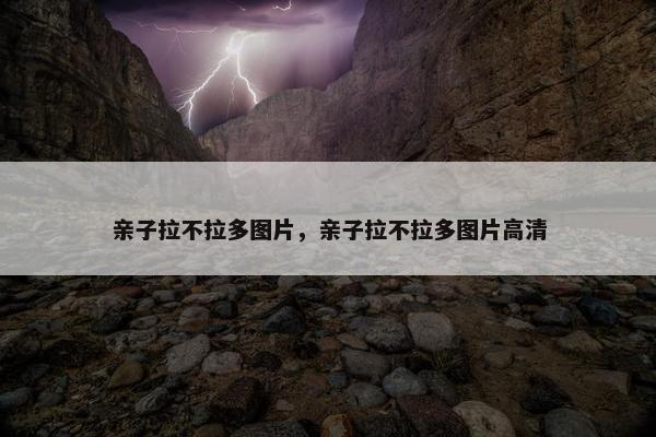 亲子拉不拉多图片，亲子拉不拉多图片高清