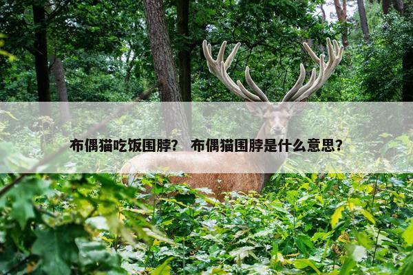 布偶猫吃饭围脖？ 布偶猫围脖是什么意思？