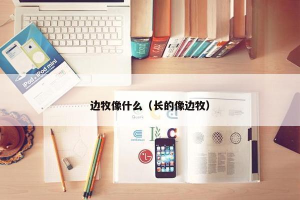 边牧像什么（长的像边牧）