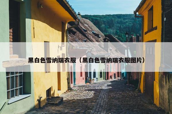 黑白色雪纳瑞衣服（黑白色雪纳瑞衣服图片）