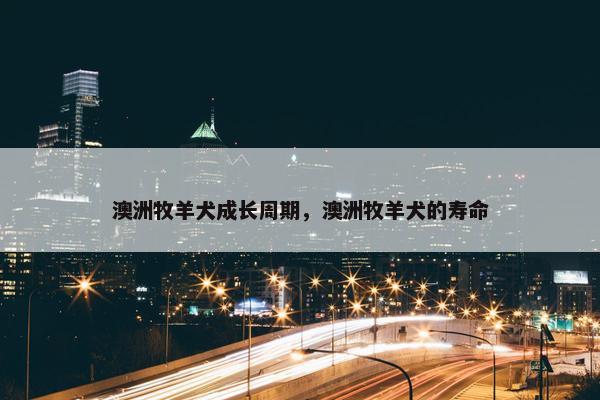 澳洲牧羊犬成长周期，澳洲牧羊犬的寿命