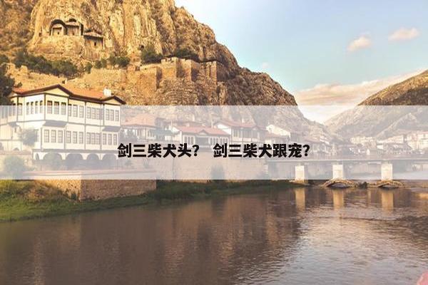 剑三柴犬头？ 剑三柴犬跟宠？