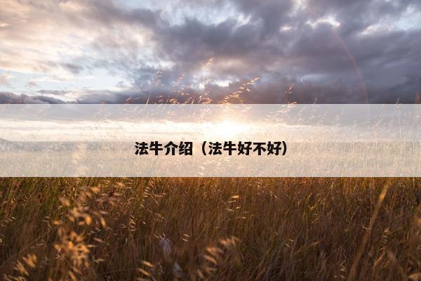 法牛介绍(法牛好不好)