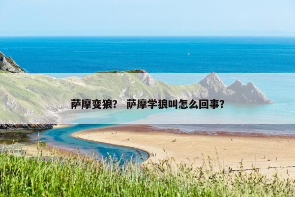 萨摩变狼? 萨摩学狼叫怎么回事?