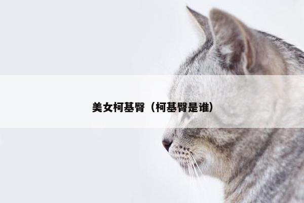 美女柯基臀（柯基臀是谁）