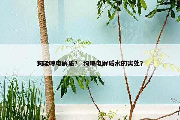 狗能喝电解质？ 狗喝电解质水的害处？