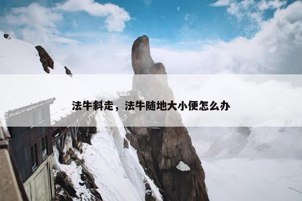 法牛斜走，法牛随地大小便怎么办