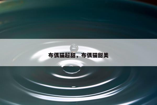 布偶猫超甜，布偶猫甜美