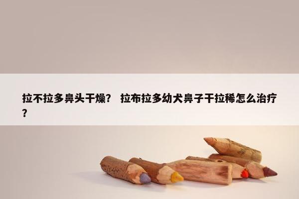 拉不拉多鼻头干燥？ 拉布拉多幼犬鼻子干拉稀怎么治疗？