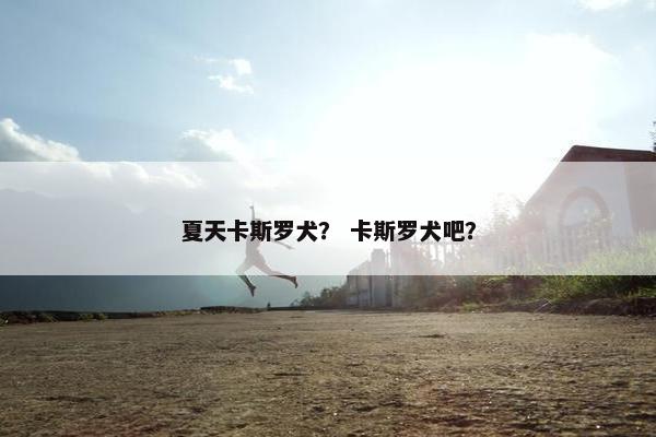 夏天卡斯罗犬？ 卡斯罗犬吧？
