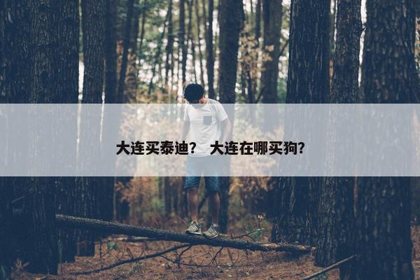 大连买泰迪？ 大连在哪买狗？