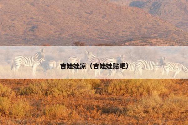 吉娃娃凉（吉娃娃贴吧）