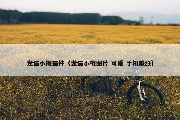 龙猫小梅摆件（龙猫小梅图片 可爱 手机壁纸）