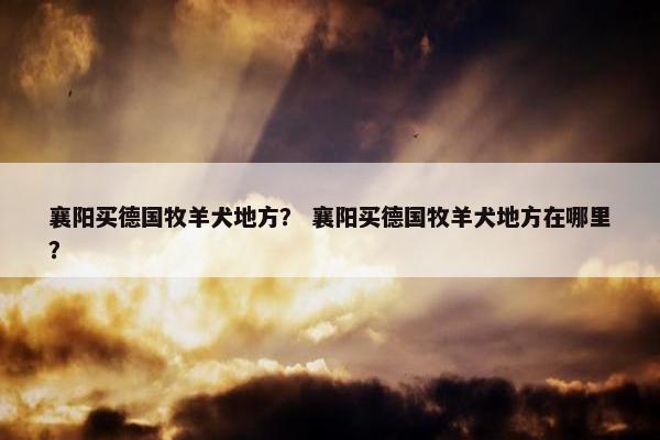 襄阳买德国牧羊犬地方？ 襄阳买德国牧羊犬地方在哪里？