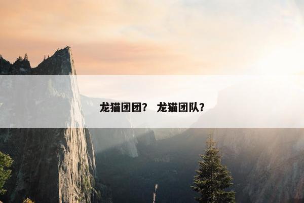 龙猫团团？ 龙猫团队？