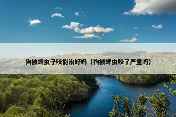 狗被蜱虫子咬能治好吗（狗被蜱虫咬了严重吗）