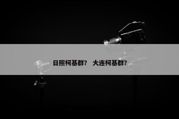 日照柯基群？ 大连柯基群？