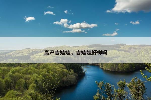 高产吉娃娃，吉娃娃好样吗