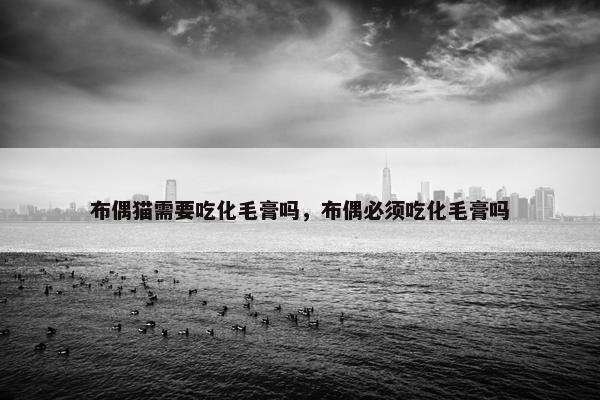 布偶猫需要吃化毛膏吗，布偶必须吃化毛膏吗