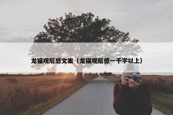 龙猫观后感文案（龙猫观后感一千字以上）