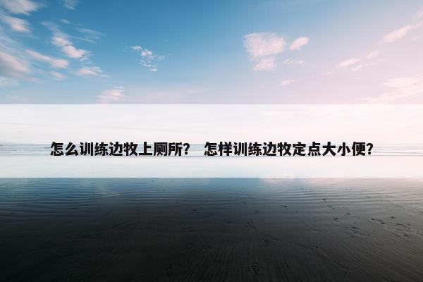 怎么训练边牧上厕所? 怎样训练边牧定点大小便?