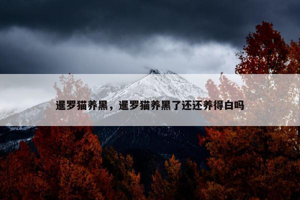 暹罗猫养黑，暹罗猫养黑了还还养得白吗