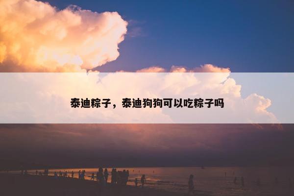 泰迪粽子，泰迪狗狗可以吃粽子吗
