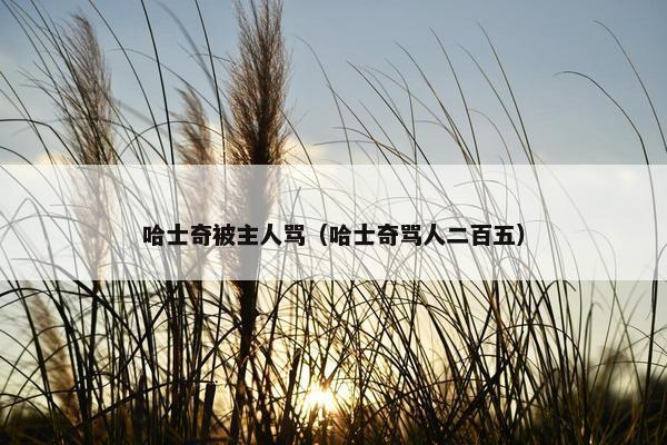 哈士奇被主人骂(哈士奇骂人二百五)