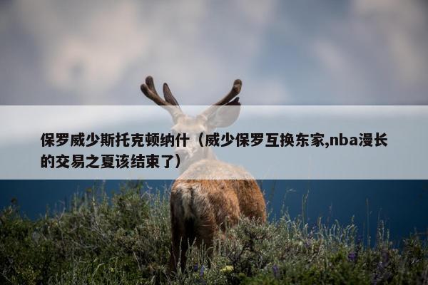 保罗威少斯托克顿纳什（威少保罗互换东家,nba漫长的交易之夏该结束了）