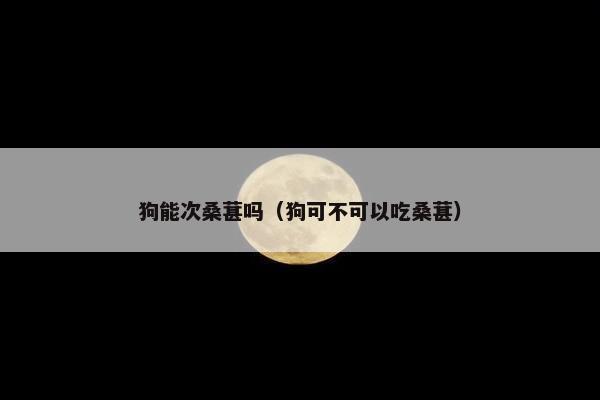 狗能次桑葚吗（狗可不可以吃桑葚）