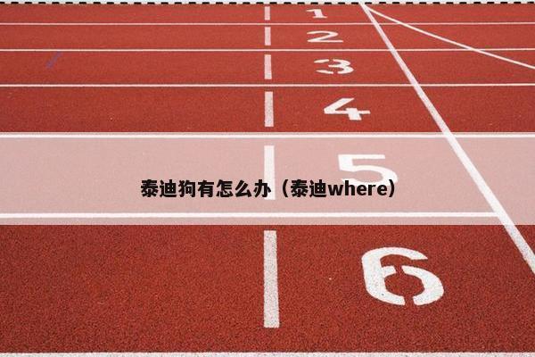 泰迪狗有怎么办（泰迪where）