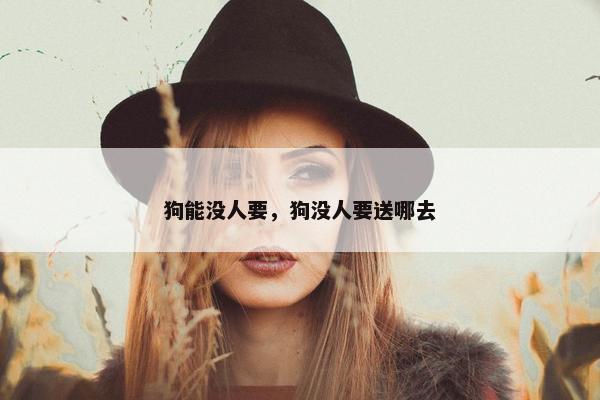 狗能没人要，狗没人要送哪去