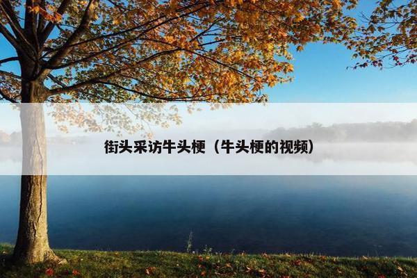 街头采访牛头梗（牛头梗的视频）