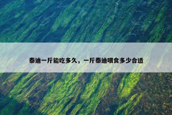 泰迪一斤能吃多久，一斤泰迪喂食多少合适