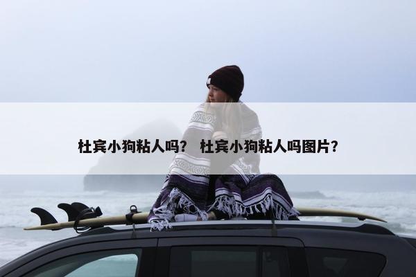 杜宾小狗粘人吗？ 杜宾小狗粘人吗图片？